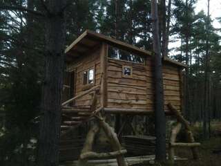 Фото Дома для отпуска "Öökull" Treehouse г. Soela